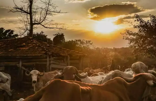 Regulariza&ccedil;&atilde;o de terras na fronteira deve ser votada no Senado nesta ter&ccedil;a