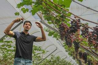 Inspirado na Europa, Raí transformou quintal em vinhedo urbano Inspirado na Europa, Raí transformou quintal em vinhedo urbano