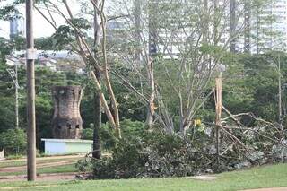 Após temporal, segunda-feira é dia de limpeza e reparos na Avenida Afonso Pena Após temporal, segunda-feira é dia de limpeza e reparos na Avenida Afonso Pena
