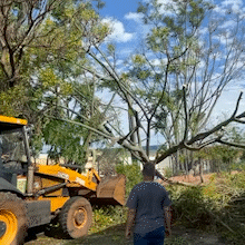 &Aacute;rvore que caiu durante temporal interdita rua de acesso ao shopping
