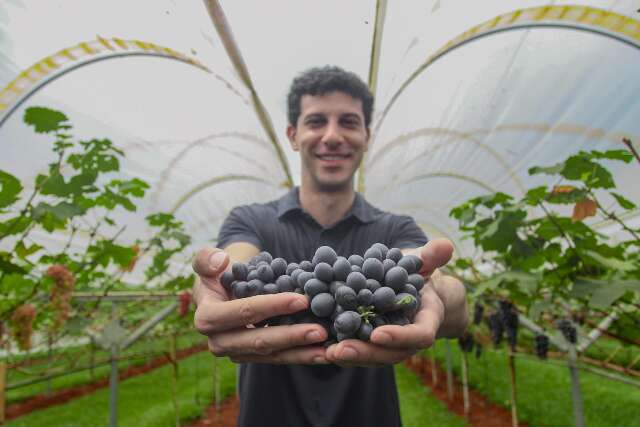 Inspirado na Europa, Raí transformou quintal em vinhedo urbano