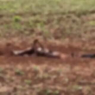 Corpo com cabe&ccedil;a e bra&ccedil;o enterrados &eacute; achado em assentamento