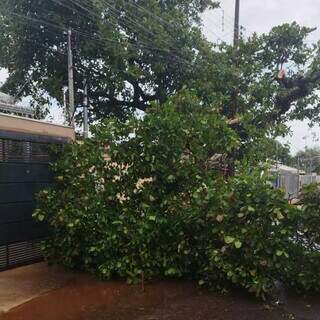 Temporal deixa at&eacute; Defesa Civil sem energia e por mais de sete horas