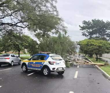 Temporal deixa pr&eacute;dio da Defesa Civil sem energia por mais de 7 horas