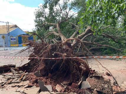Balan&ccedil;o parcial: 14 &aacute;rvores ca&iacute;ram e 20% dos im&oacute;veis seguem sem energia