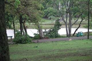 Após três dias fechado, Parque das Nações volta a funcionar nesta terça Após três dias fechado, Parque das Nações volta a funcionar nesta terça