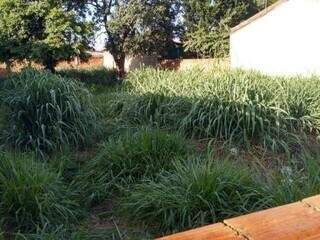 Acusados de matar servente que não aceitava fim de relacionamento são absolvidos Acusados de matar servente que não aceitava fim de relacionamento são absolvidos