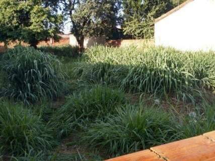 Acusados de matar servente que n&atilde;o aceitava fim de relacionamento s&atilde;o absolvidos