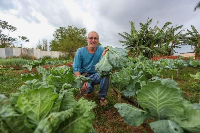 Celso largou a vida de &quot;severino&quot; para ser chefe da pr&oacute;pria horta