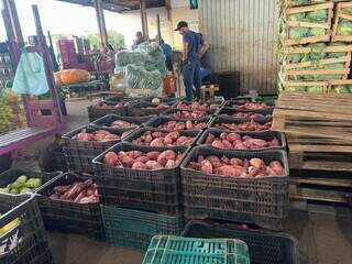 Pre&ccedil;os da alface e da batata-doce recuam, enquanto berinjela puxa alta na Ceasa