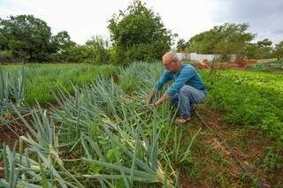 Celso largou a vida de &quot;severino&quot; para ser chefe da pr&oacute;pria horta
