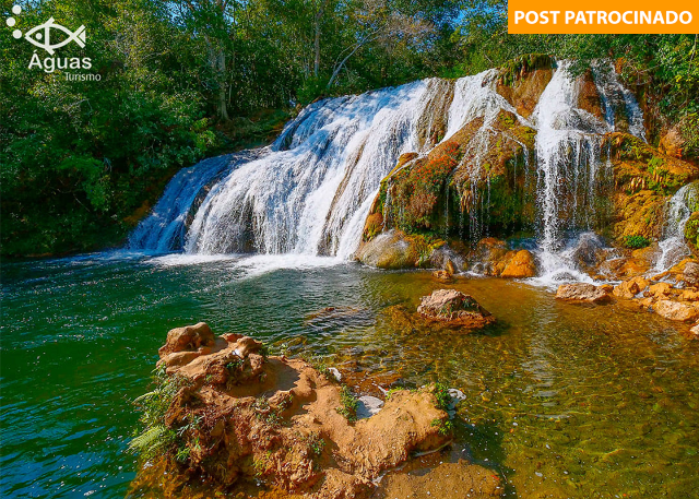 É primavera! Bonito por natureza: viva dias encantadores no paraíso