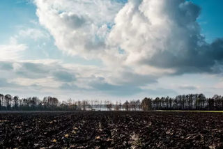 Expansão agrícola ainda é a principal causa da perda de vegetação em MS Expansão agrícola ainda é a principal causa da perda de vegetação em MS