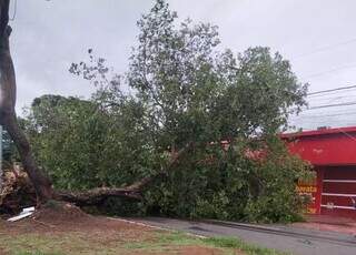 Comerciantes improvisam com papel e caneta ap&oacute;s segundo apag&atilde;o da semana