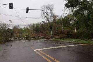 Comerciantes improvisam com papel e caneta ap&oacute;s segundo apag&atilde;o da semana