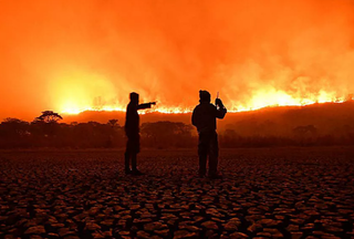 Em um ano, Pantanal esquentou 1,8&ordm;C acima da m&eacute;dia