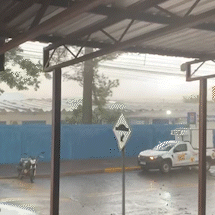 Ventania de 43 km/h derruba &aacute;rvores e provoca apag&atilde;o em bairros da Capital