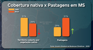 Expansão agrícola ainda é a principal causa da perda de vegetação em MS Expansão agrícola ainda é a principal causa da perda de vegetação em MS