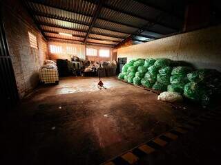 Fábrica clandestina de bebidas é descoberta em Terenos e dono acaba preso Fábrica clandestina de bebidas é descoberta em Terenos e dono acaba preso