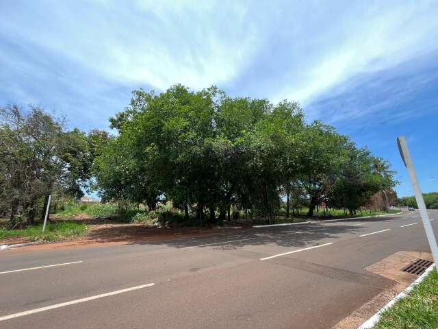 Condom&iacute;nios de 10 torres ser&atilde;o constru&iacute;dos, um em cada ponta da Av. Nasri Siufi