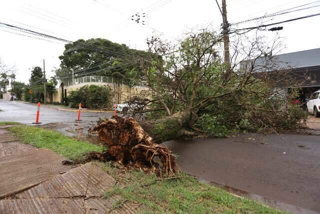 Temporal chegou, mas alerta no celular n&atilde;o tocou? Saiba o motivo