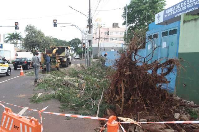 Manh&atilde; come&ccedil;a com remo&ccedil;&atilde;o de &aacute;rvore em frente &agrave; unidade de sa&uacute;de ap&oacute;s temporal