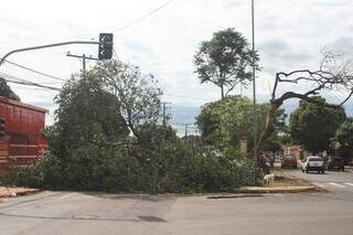 Sol abriu, mas moradores ainda tentam se livrar de árvores sobre carro e ruas Sol abriu, mas moradores ainda tentam se livrar de árvores sobre carro e ruas