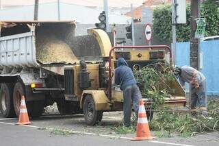 Manhã começa com remoção de árvore em frente à unidade de saúde após temporal Manhã começa com remoção de árvore em frente à unidade de saúde após temporal