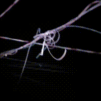 Moradores enfrentam 2&ordf; noite sem previs&atilde;o de retorno da energia