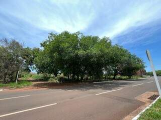 Condomínios de 10 torres serão construídos, um em cada ponta da Av. Nasri Siufi Condomínios de 10 torres serão construídos, um em cada ponta da Av. Nasri Siufi