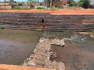 Obras sem fim prejudicam água, mas espécies teimam em sobreviver no Anhanduí Obras sem fim prejudicam água, mas espécies teimam em sobreviver no Anhanduí