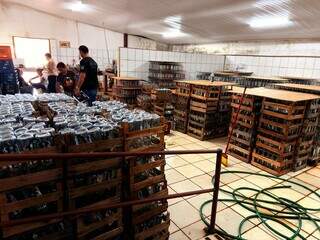 Fábrica clandestina de bebidas é descoberta em Terenos e dono acaba preso Fábrica clandestina de bebidas é descoberta em Terenos e dono acaba preso