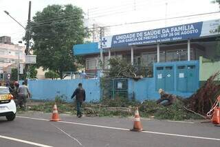 Manhã começa com remoção de árvore em frente à unidade de saúde após temporal Manhã começa com remoção de árvore em frente à unidade de saúde após temporal