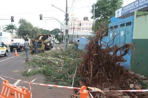 Manh&atilde; come&ccedil;a com remo&ccedil;&atilde;o de &aacute;rvore em frente &agrave; unidade de sa&uacute;de ap&oacute;s temporal