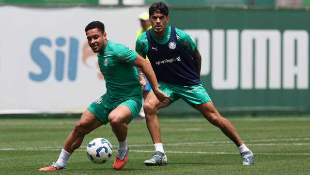 Palmeiras recebe o Santos com chance de abrir dist&acirc;ncia na lideran&ccedil;a