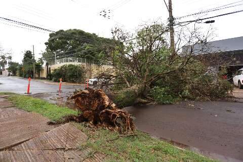 Alerta que emite bip no celular ser&aacute; usado apenas em casos extremos 