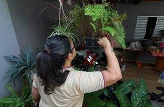 Com 13,5 mil casos de dengue em MS, secretaria faz "Dia D" contra mosquito Com 13,5 mil casos de dengue em MS, secretaria faz "Dia D" contra mosquito