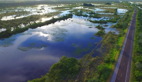 Estudo identifica &aacute;reas com alto potencial de fixa&ccedil;&atilde;o de carbono no Pantanal