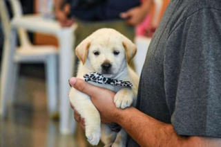 Feira na Praça Bolívia encerra ano com adoção de cães e gatos resgatados Feira na Praça Bolívia encerra ano com adoção de cães e gatos resgatados