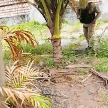 Pai diz que matou filho autista por n&atilde;o conseguir pagar pens&atilde;o