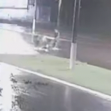 Na chuva, ladr&otilde;es atravessam avenida arrastando cofre com R$ 100 mil