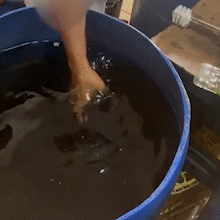 F&aacute;brica clandestina abastecia atl&eacute;ticas e pagava R$ 0,60 por garrafa devolvida