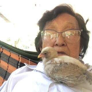 Adeus &agrave; Dona Rosa, que por 40 anos garantiu cerveja gelada para galera