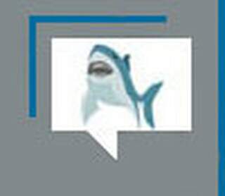 Onça, tubarão, gorila: a carne humana não faz parte do cardápio Onça, tubarão, gorila: a carne humana não faz parte do cardápio