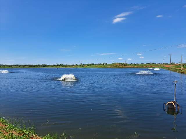 Com incentivos fiscais, piscicultura de MS projeta produzir 50 mil toneladas