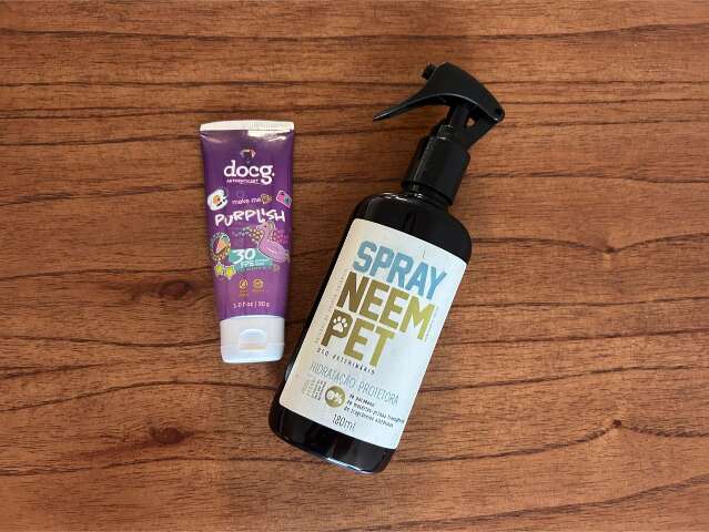 Seu pet toma sol sem protetor? Hábito inocente pode custar caro