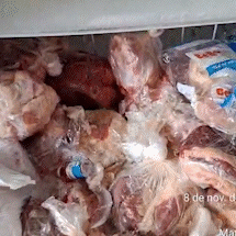 Moradores de &aacute;rea rural racionam &aacute;gua e perdem planta&ccedil;&otilde;es ap&oacute;s dias sem luz