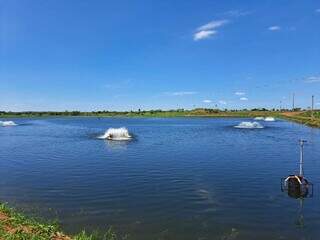 Com incentivos fiscais, piscicultura de MS projeta produzir 50 mil toneladas