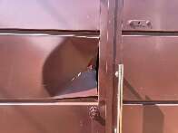 Discussão por poda de árvore termina em ataque a machadadas