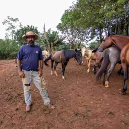 Último tropeiro da Capital, Valdienio luta para manter seus cavalos em bairro